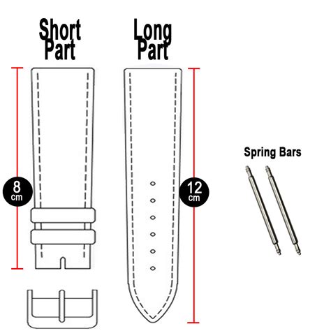 panerai watch strap sizes